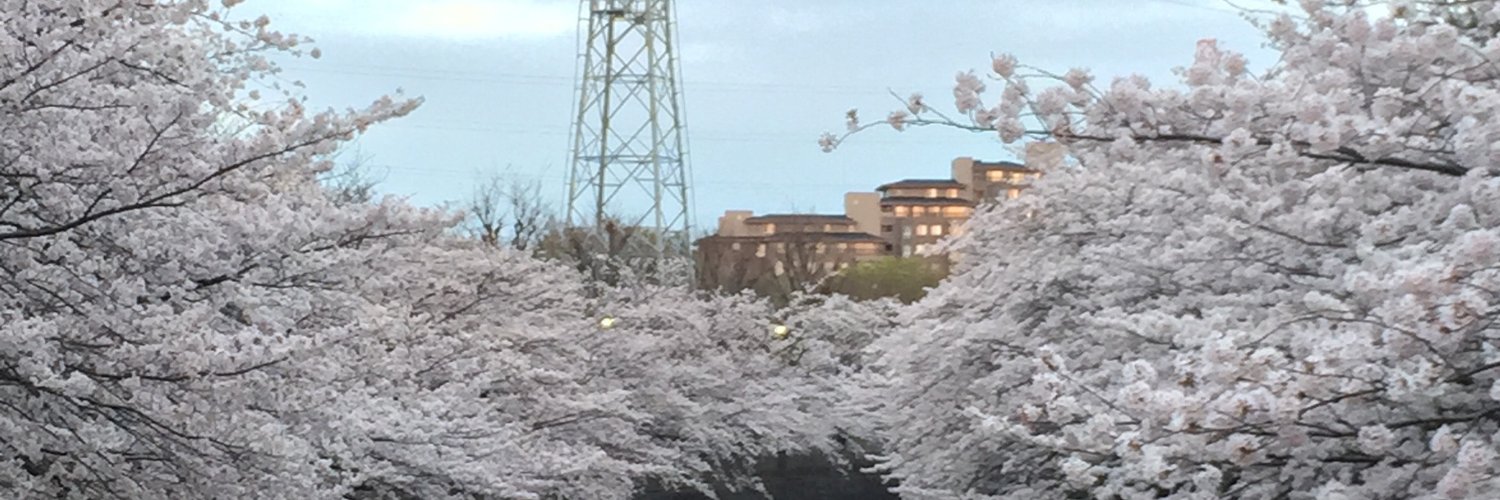KIMAGURE_LIFE's profile banner image