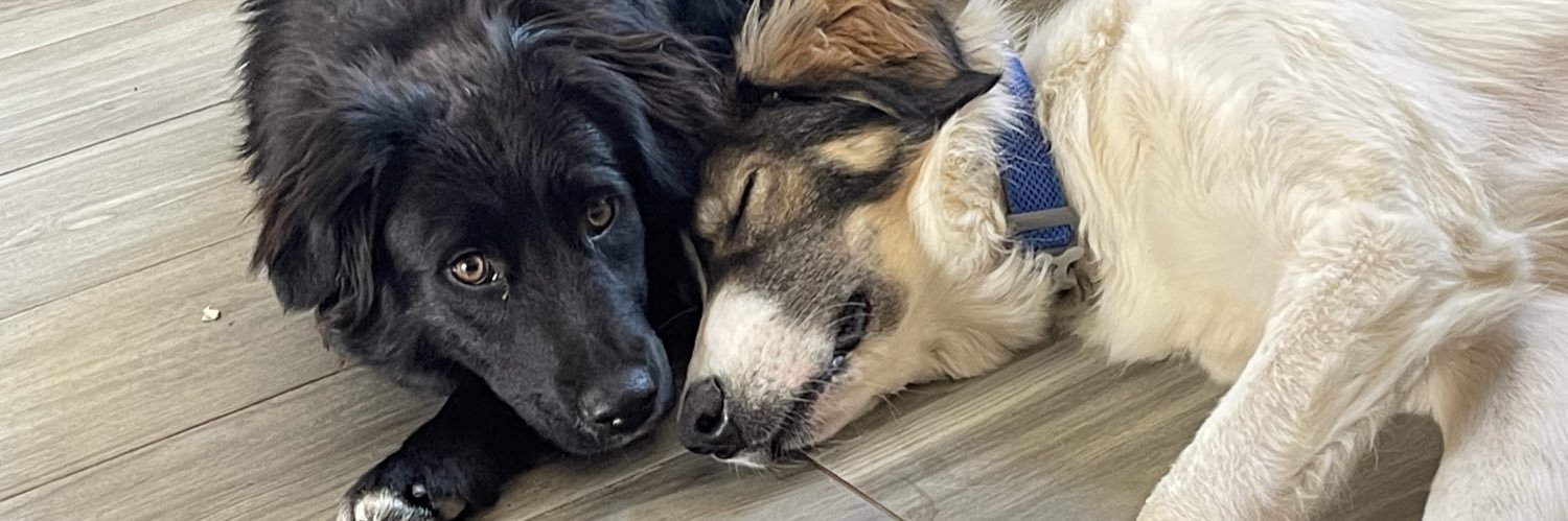 scott bleakley banner