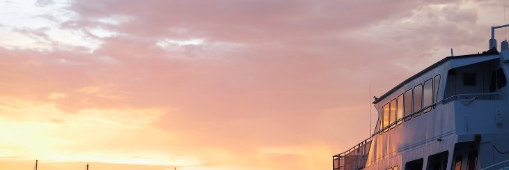 dcialdella's profile banner image