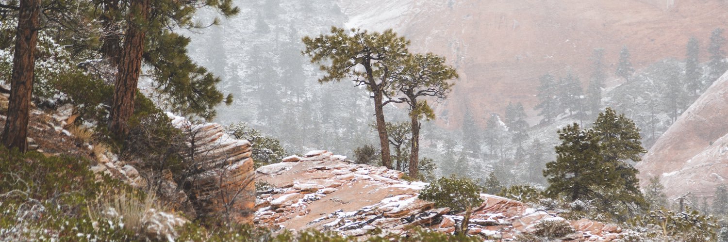 Studsquatch's profile banner image
