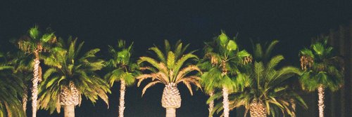 aml2699's profile banner image