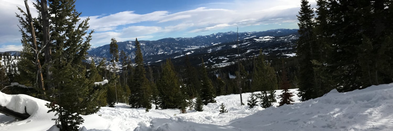mdaggett17's profile banner image