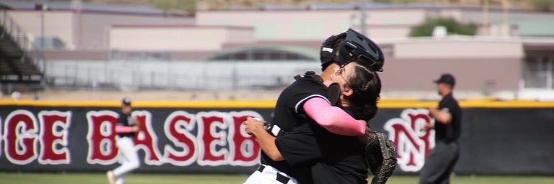 Ashley Stevens banner