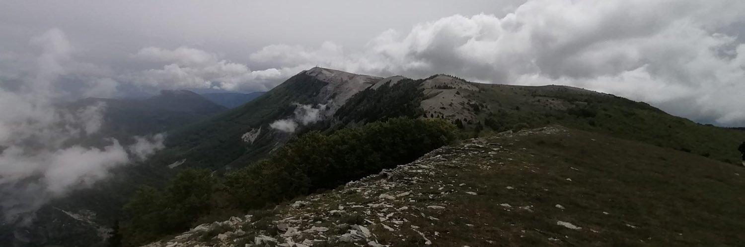 mademoiselle Kr banner