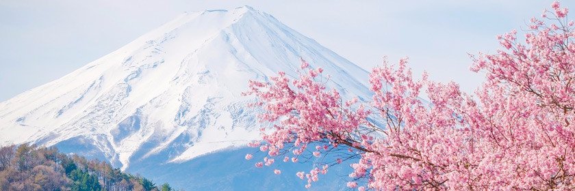 Kupokaze's profile banner image