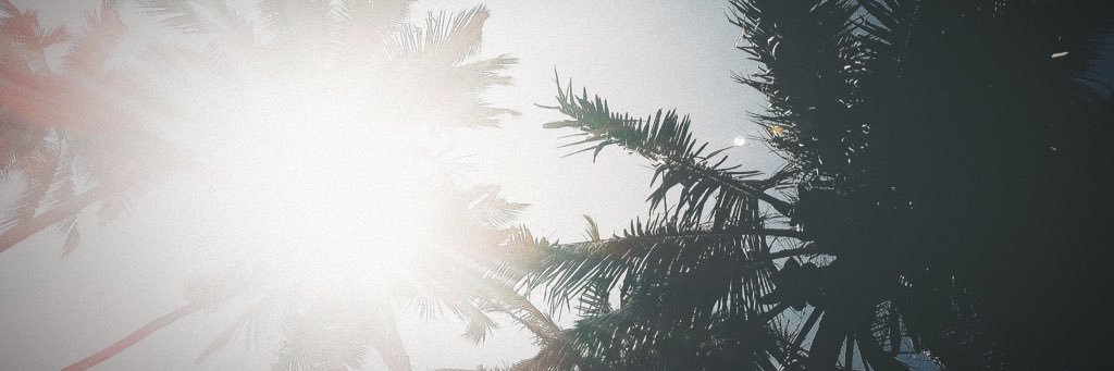 anneejuliaa's profile banner image