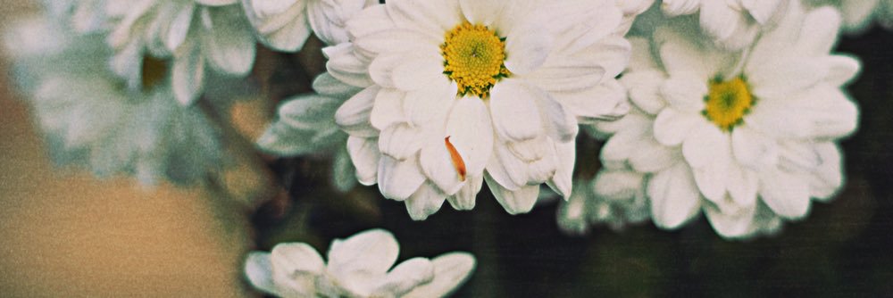 racefieldd's profile banner image