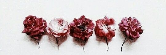 shaila banner