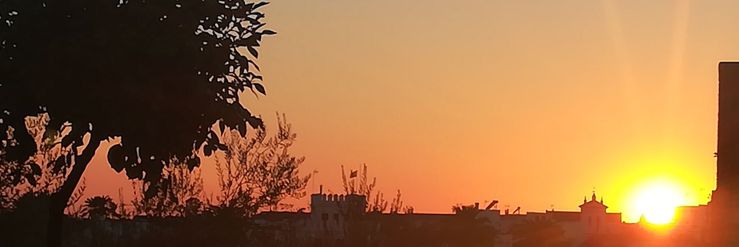 ConchiVillarejo's profile banner image