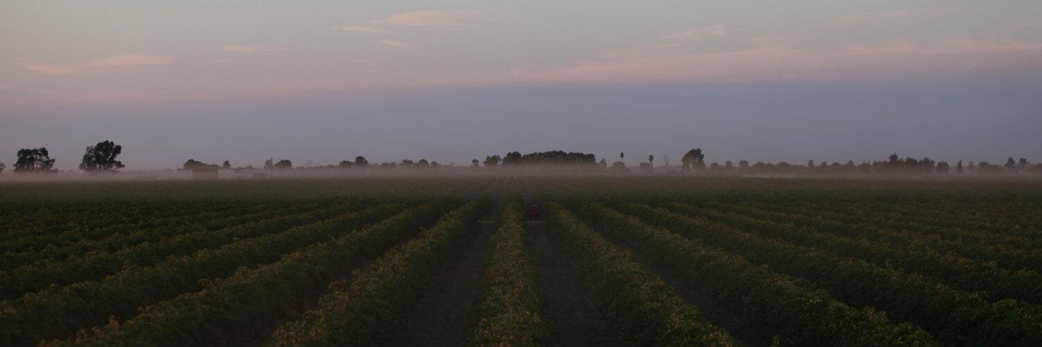 McWilliamsWines's profile banner image