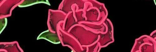 Ana Torres banner