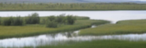 uarctic Profile Banner