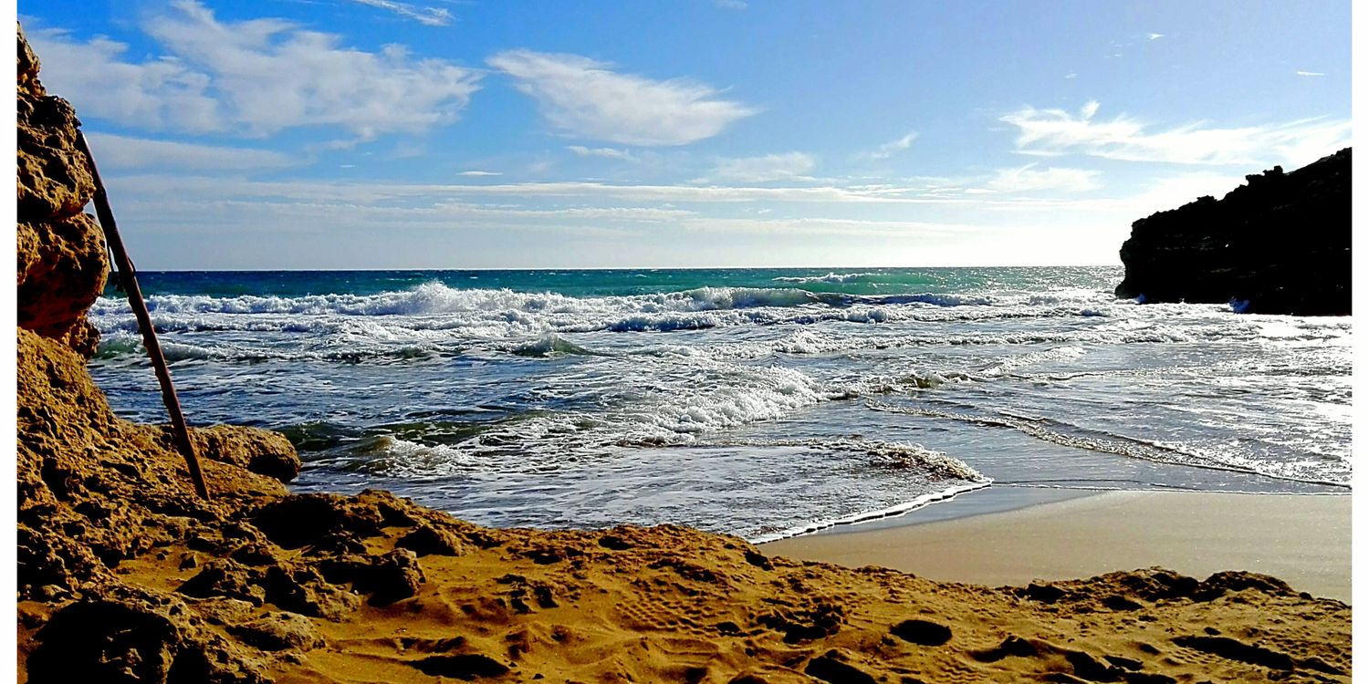 Pablo Sala Duarte banner
