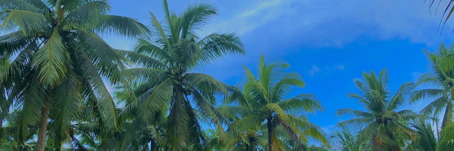 imteppyy's profile banner image