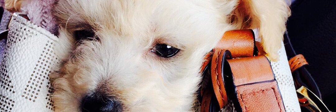 kdmcknight's profile banner image