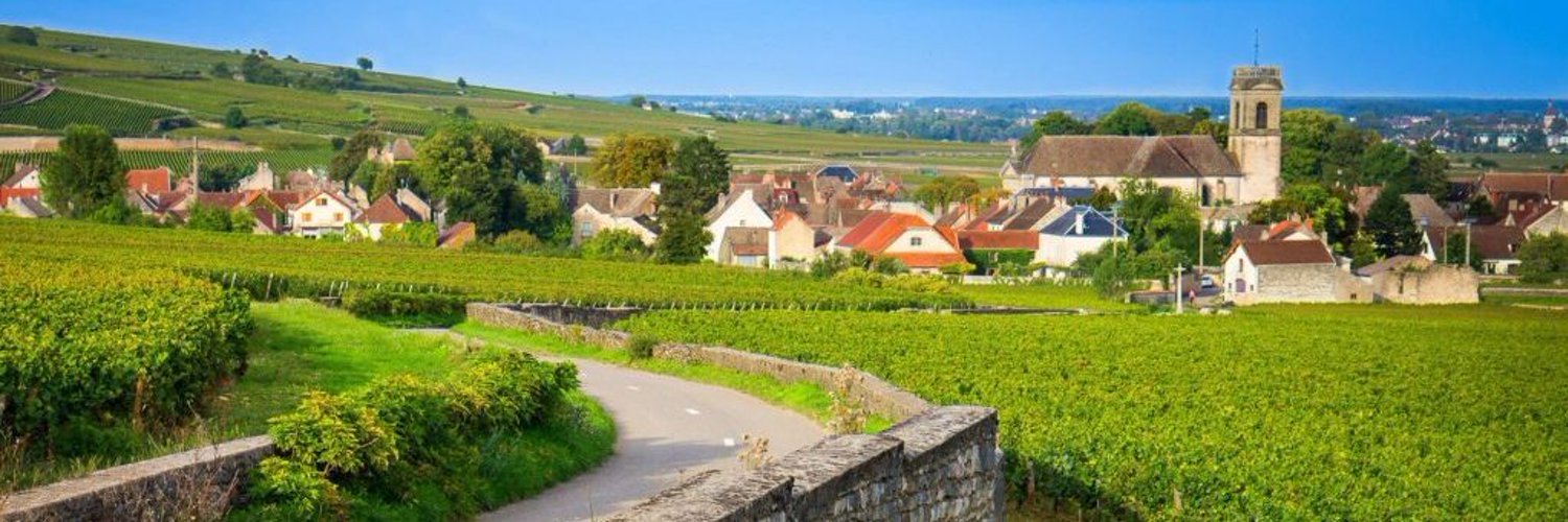 Véronique Morlighem banner