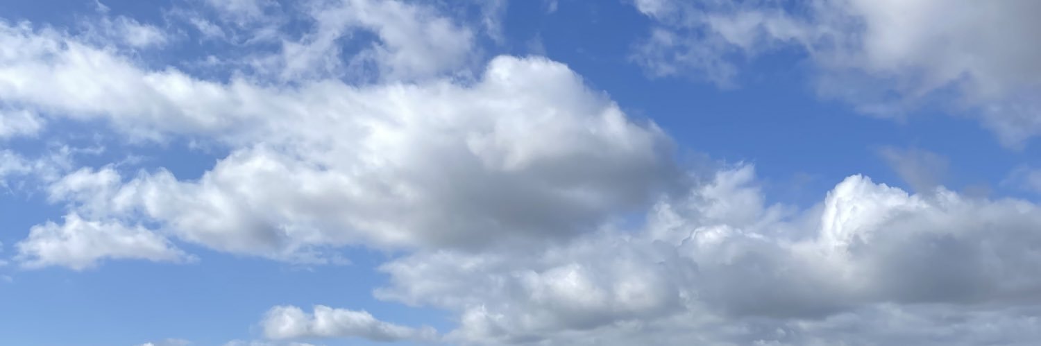 slothpixie's profile banner image