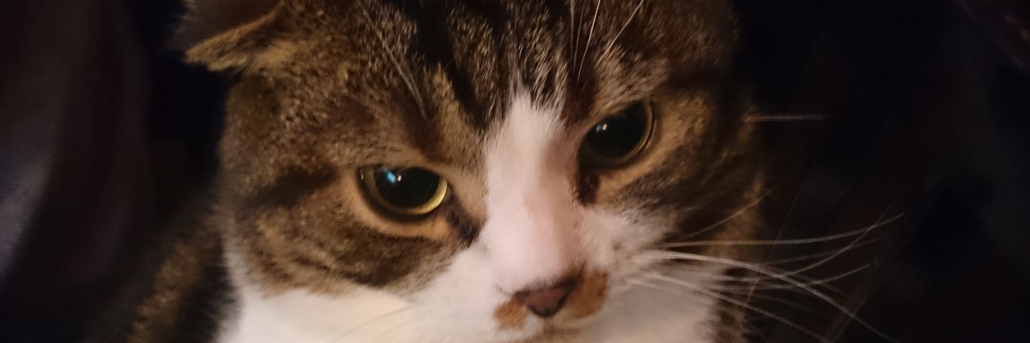 i2_p_taro's profile banner image