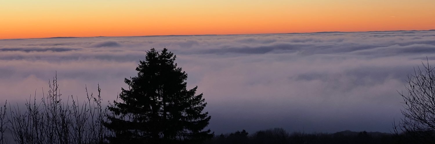 Fittus Broadcast banner