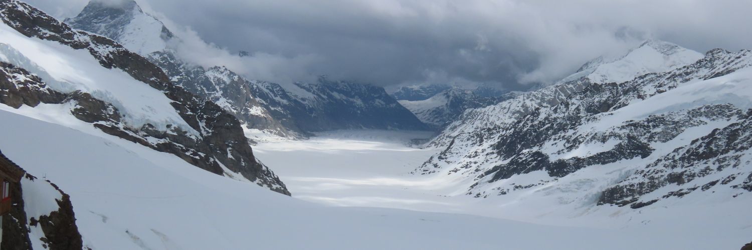 Ravinder Singh Dhull banner