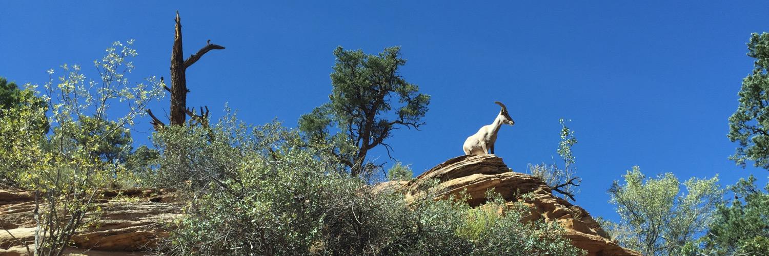 Anducy's profile banner image