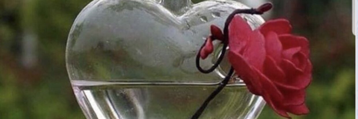 besho_ss1's profile banner image