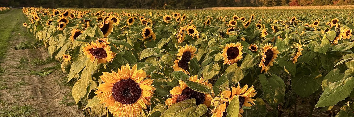 SabsChavez's profile banner image