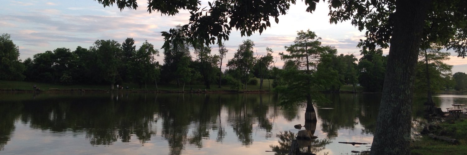 rehammnd's profile banner image