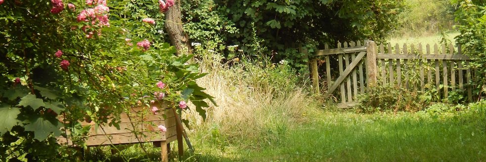 hetty1111's profile banner image
