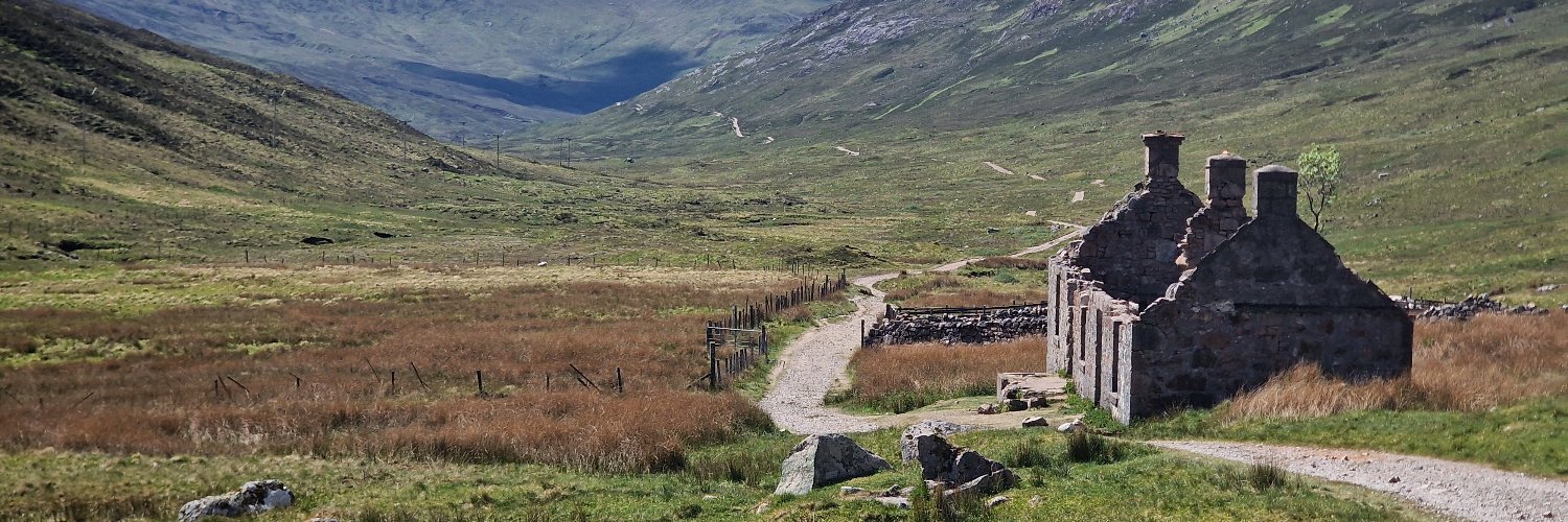 David of Scotland banner