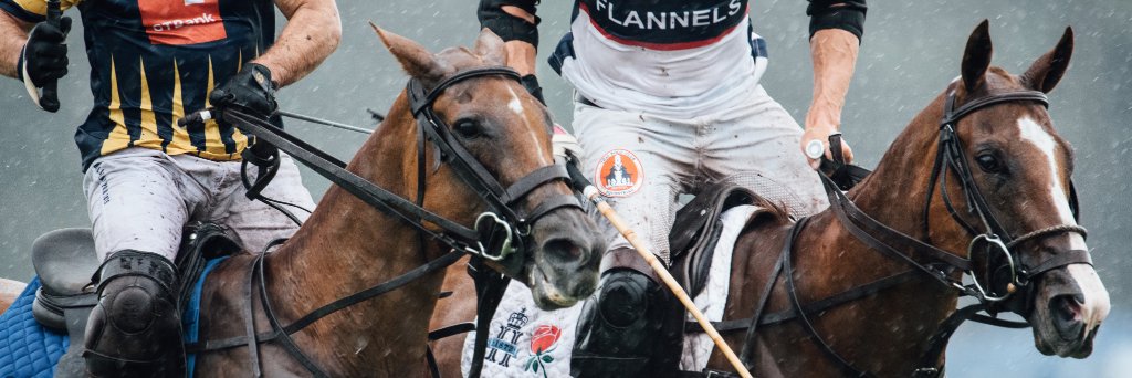 Hurlingham Polo Asso banner