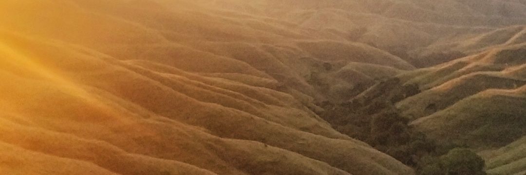 irman70's profile banner image