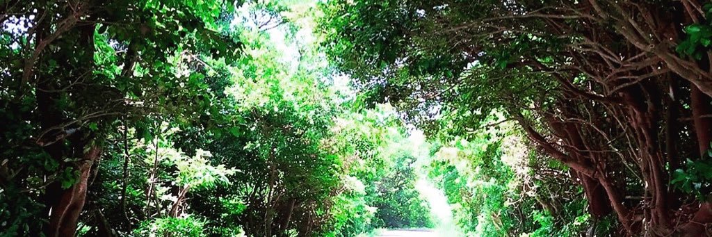 megny2's profile banner image