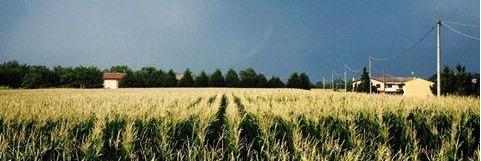 ilbasco's profile banner image