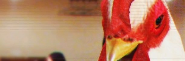 AmA_GI_GoE's profile banner image