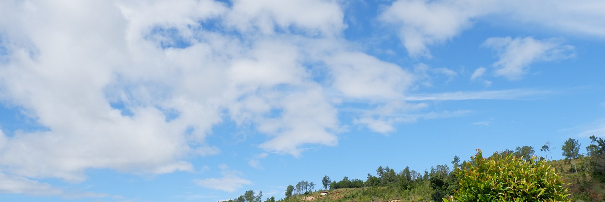 taridui's profile banner image