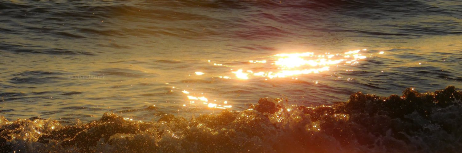 reefalll's profile banner image