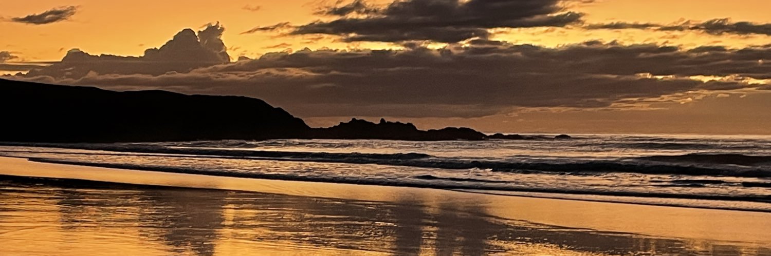 Nicole Burrows banner