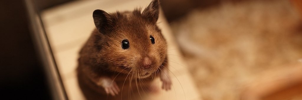 delsoncromwell's profile banner image