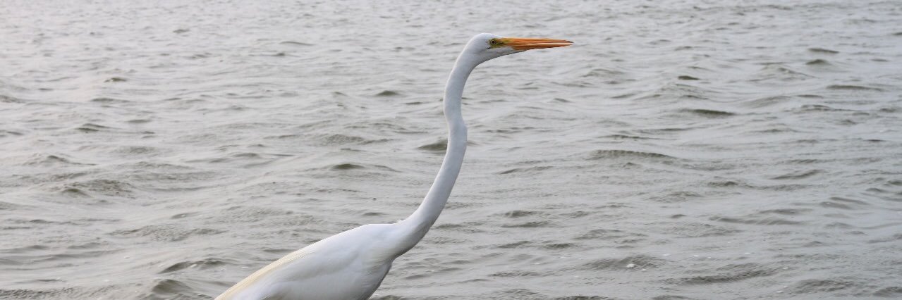 AHjhon77's profile banner image
