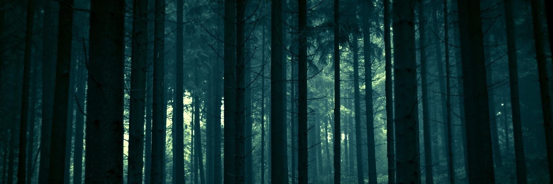 _glukhov's profile banner image