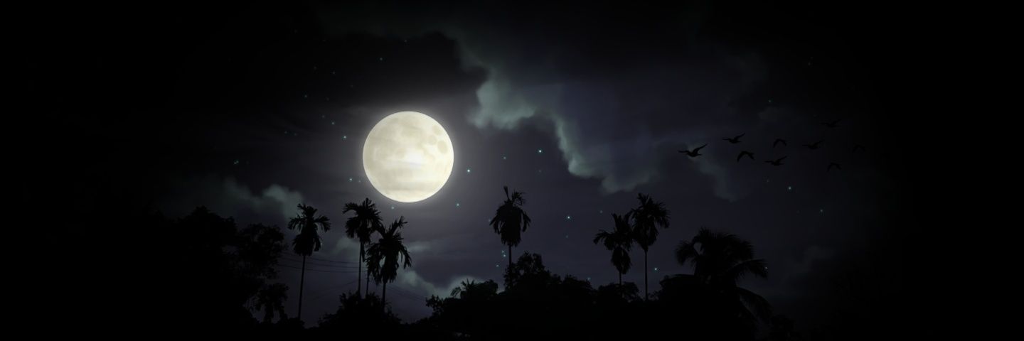 Cal🌙's banner