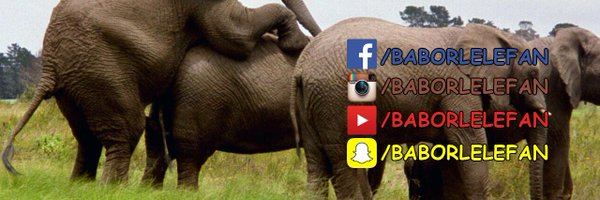 baborlelefan Profile Banner
