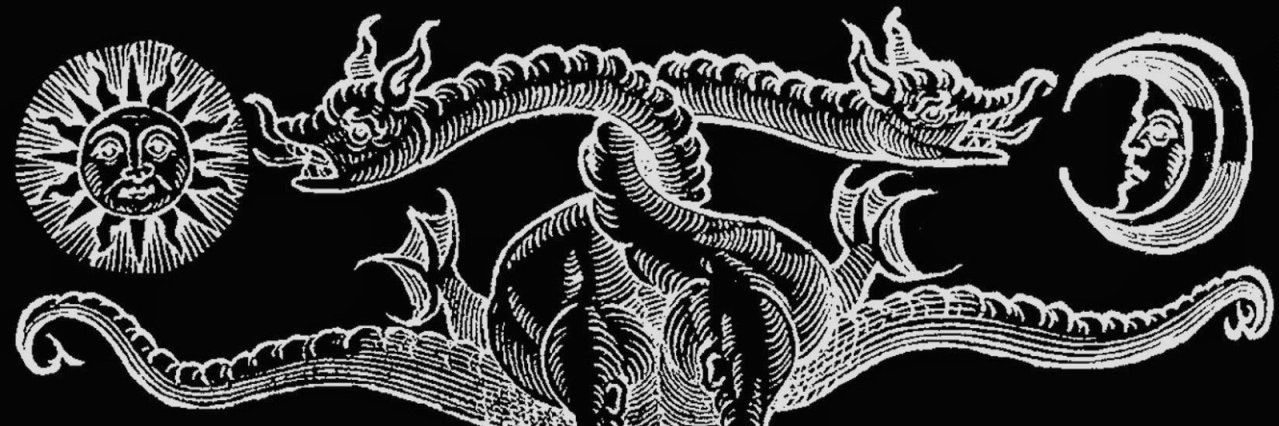 Austin Coppock banner