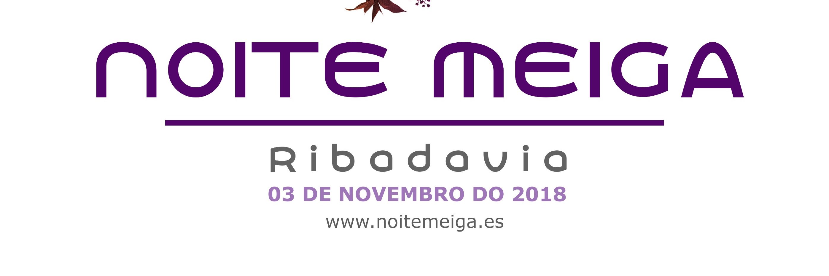 NoiteMeiga's profile banner image