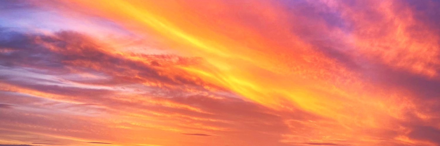 Stace🌻🌞🌙✨ banner