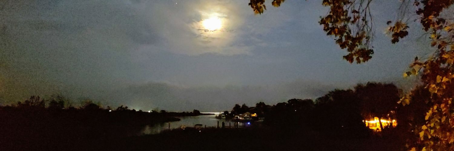alan11782's profile banner image