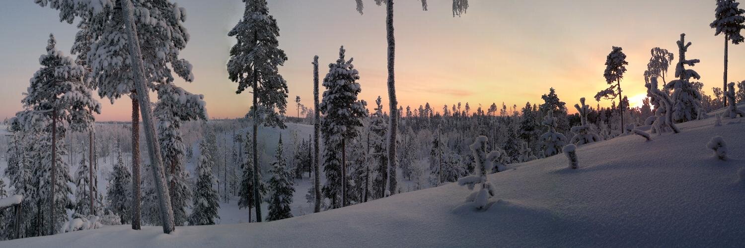 visalaitinen's profile banner image