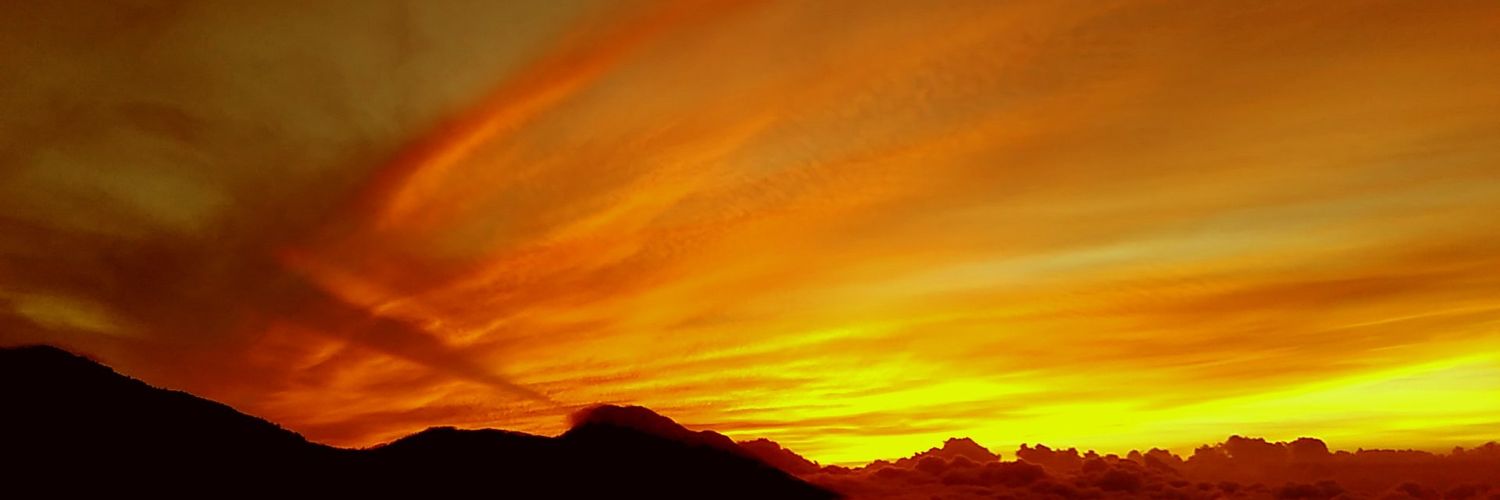 VEGAPS's profile banner image