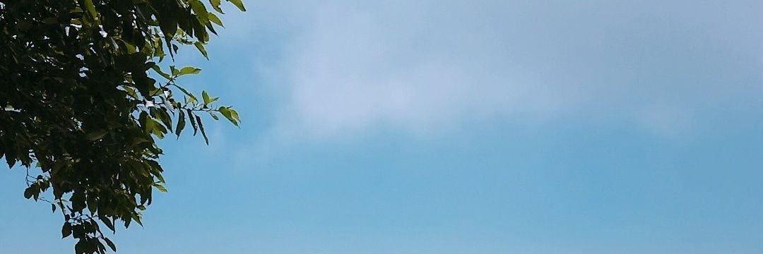 en2mt5's profile banner image